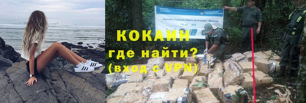 шишки Слюдянка
