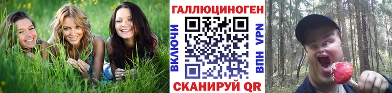 сколько стоит  ссылка на мегу рабочий сайт  Псилоцибиновые грибы мицелий  Краснообск 